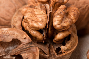 Similar image 2462536