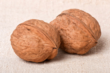 Similar image 2462539