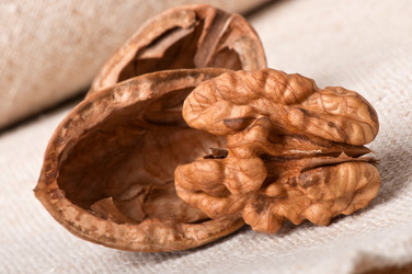 Similar image 2462540