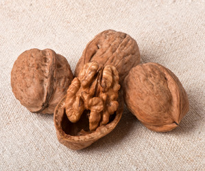 Similar image 2462541