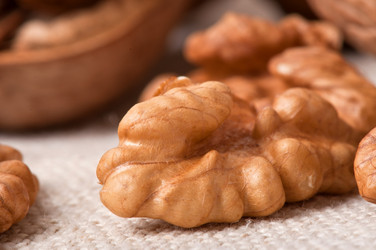 Similar image 2462543