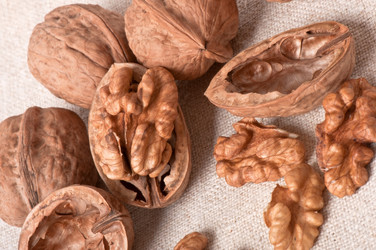 Similar image 2462544