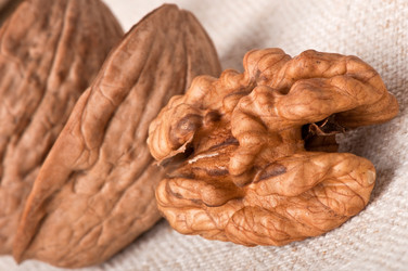 Similar image 2462545