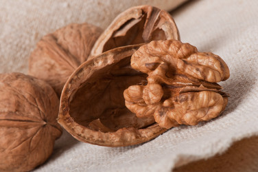 Similar image 2462547