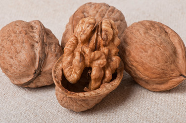 Similar image 2462548