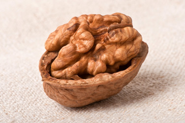 Similar image 2462549