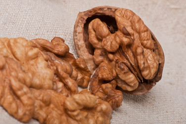 Similar image 2462553