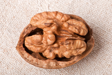 Similar image 2462555