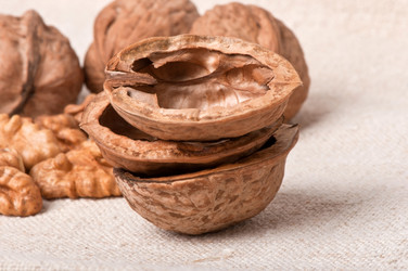 Similar image 2462557