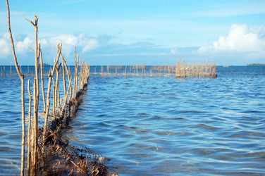 Similar image 2462571