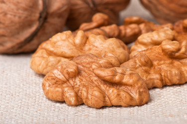 Similar image 2462642