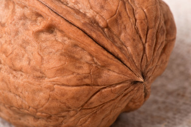 Similar image 2462643