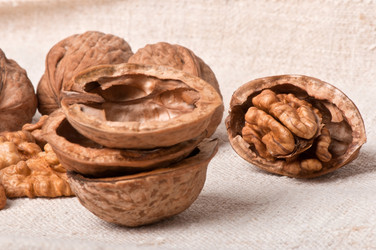 Similar image 2462647