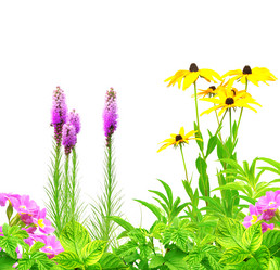 Similar image 2462775