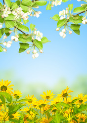 Similar image 2462777