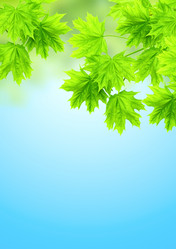 Similar image 2462787