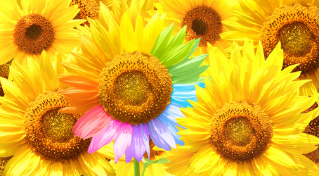 Similar image 2462793