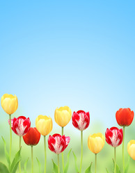 Similar image 2462796