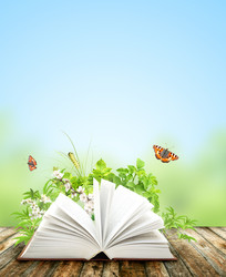 Similar image 2462797