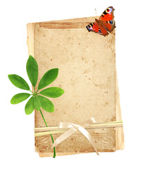 Similar image 2462806