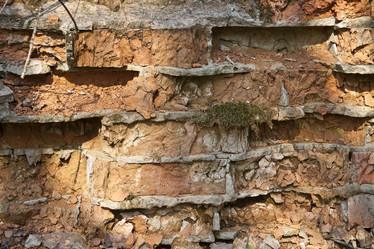 Similar image 2463070