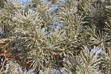 Similar image 2463074