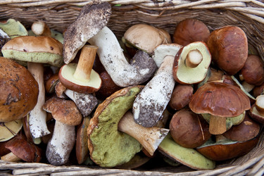 Similar image 2463076