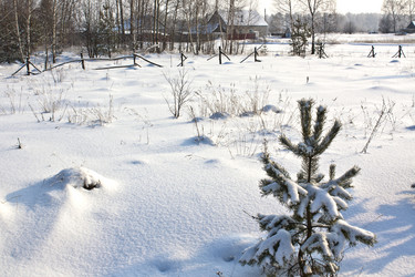 Similar image 2463083