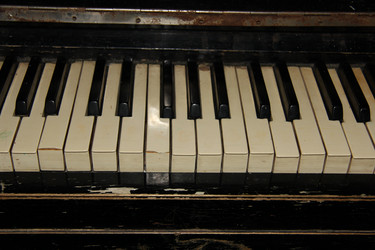 Similar image 2463088