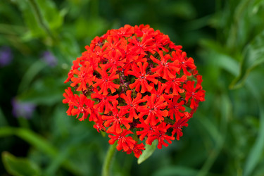 Similar image 2463104