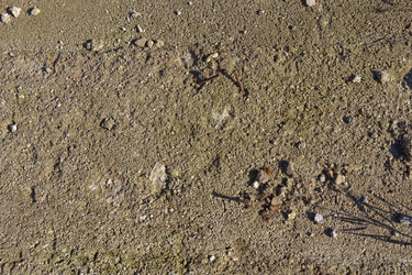 Similar image 2463110