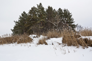 Similar image 2463127