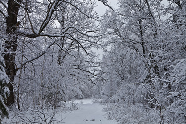 Similar image 2463138