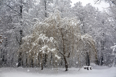 Similar image 2463147