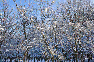 Similar image 2463151