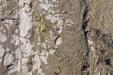 Similar image 2463159