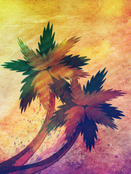 Similar image 2463274