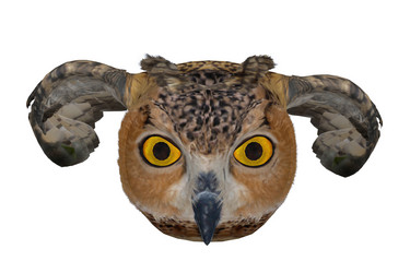 Similar image 2463277