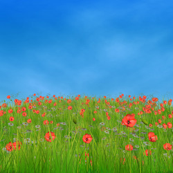 Similar image 2463393