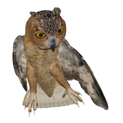 Similar image 2463402