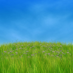 Similar image 2463413