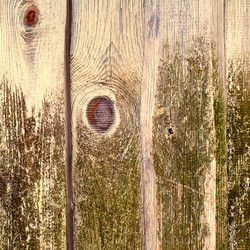 Similar image 2463465