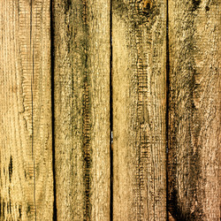 Similar image 2463478