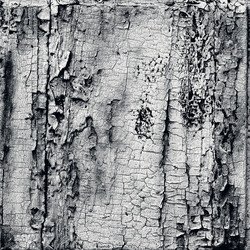 Similar image 2463480