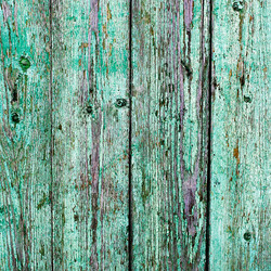 Similar image 2463482