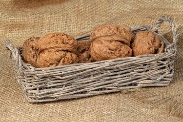 Similar image 2463484