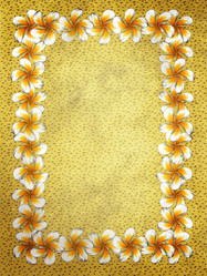 Similar image 2463486