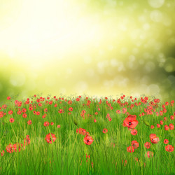 Similar image 2463555