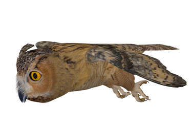 Similar image 2463565