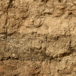 Similar image 2463716